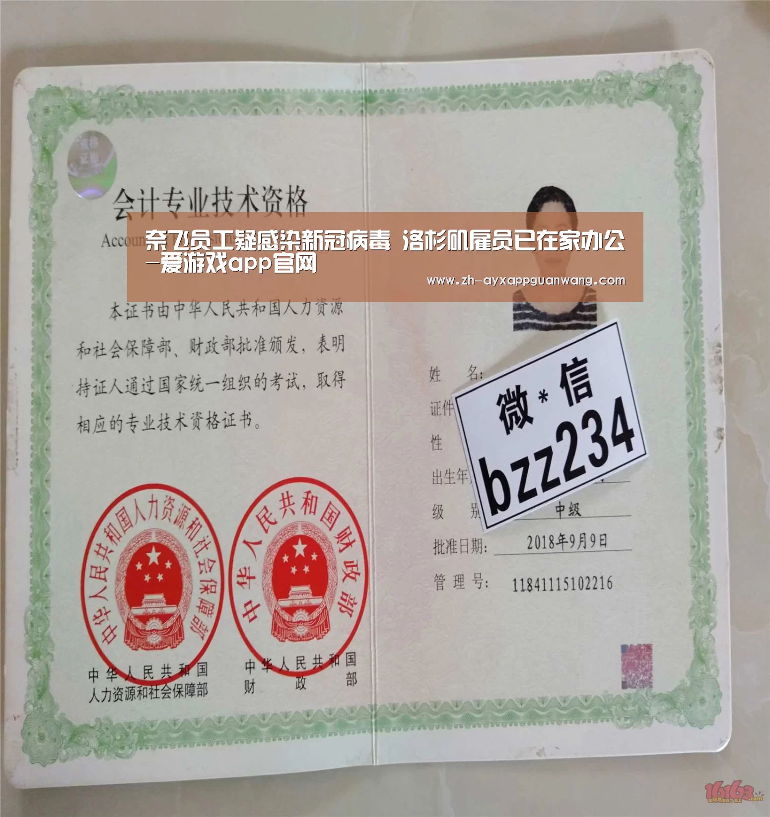 爱游戏app官网